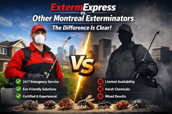 ExtermZone vs. Other Montreal Exterminators: The Difference Is Clear