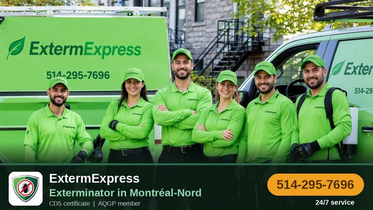 ExtermZone, exterminator in Montréal-Nord