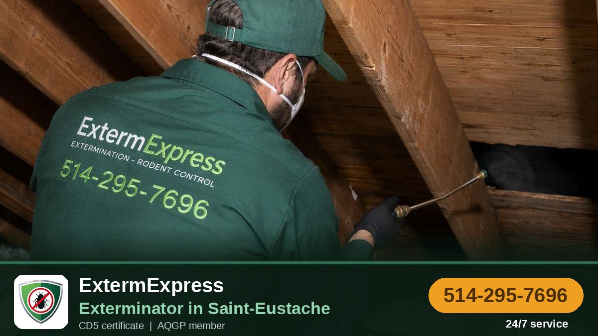 ExtermZone, exterminator in Saint-Eustache
